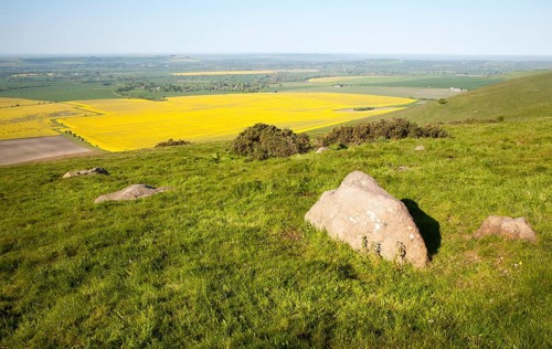 Sarsen stones on Milk Hill with a view over the Vale of Pewsey, Alton Barnes, Wiltshire, England,