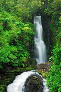 Mac Lean Falls, Catlins Forest Park, Otago, South Island New Zealand, Otago, South Island, New