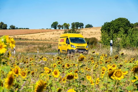 Country road, with DHL parcel van, sunflower field south-east of Nideggen, in the Rureifel, North