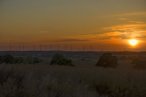 Wind turbines in the evening light, Schönberg, Mecklenburg-Vorpommern, Germany, Europe