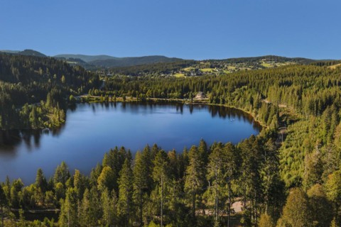 Windgfällweiher, Black Forest, Baden-Württemberg, Germany, Titisee, Baden-Württemberg, Germany,