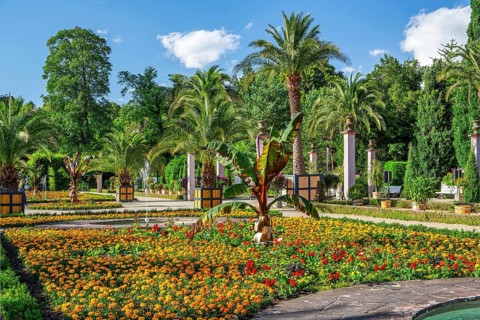 Palm garden in the spa gardens, the largest outdoor palm garden north of the Alps, spa town of Bad