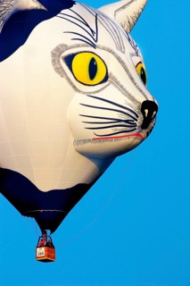Europe, Germany, Montgolfiade, balloon launch, Warstein, hot air balloons, launch phase, Warstein,