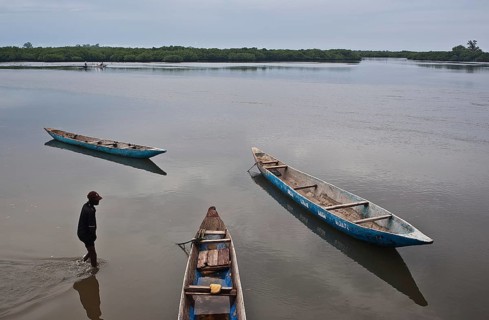 Boatman and pirogues, estuary and mangrove in the background (Fadiouth, Senegal)