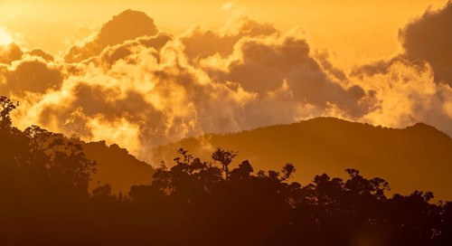 Evening mood, clouds over cloud forest, mountain rainforest, Parque Nacional Los Quetzales, Costa