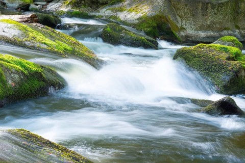 Fast flowing water flows over moss-covered stones, boulders, in a small river, rapids, rocks with
