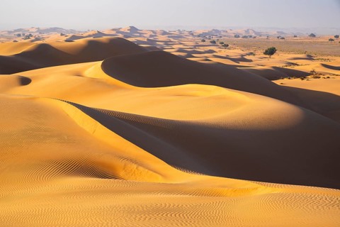 Sand dunes in the desert, near Duqm, Oman, Asia