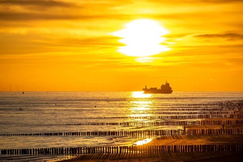 Sunset on the beach of Zoutelande, beach with wooden pile breakwaters, cargo ship sailing towards