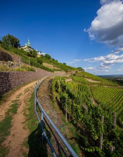 Weingut am Goldenen Wagen. The Spitzhaus is a former summer residence in the Saxon town of Radebeul