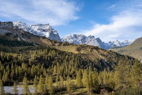 Mountain panorama with steep rocky peaks, yellow-coloured larches in autumn, view of Laliderspitze,