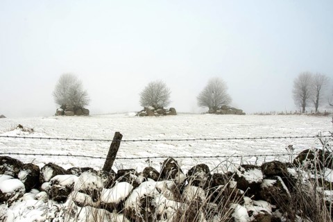 Aubrac plateau. Barbed wires and stone wall in winter. Lozere department. Occitanie. France