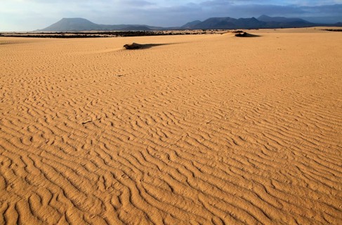Sand dunes at Las Dunas natural park, Corralejo, Fuerteventura, Canary Islands, Spain, Europe