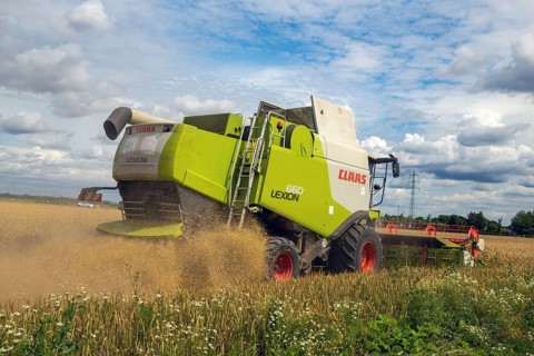 Grain harvest in the Rhein-Pfalz district near Mutterstadt