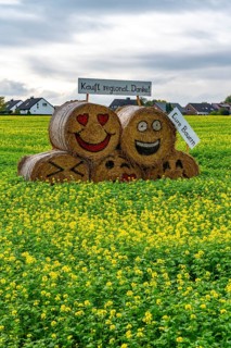 Advertising for regional purchasing, from farmers in the region, straw bales in a rapeseed field