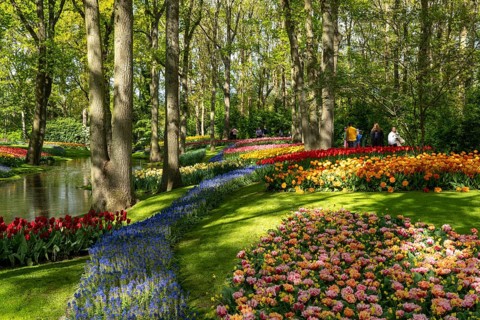 The Keukenhof, gardens, amusement park, spring park, spring flower show, near Lisse, South Holland,