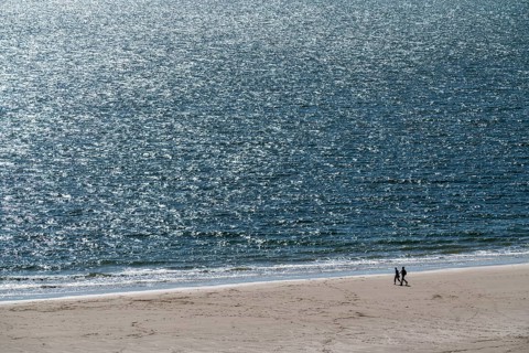 Strollers on the beach near Zoutelande Province of Zeeland, Walcheren Peninsula, Netherlands