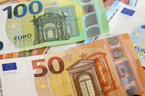 Euro notes (euro banknotes)