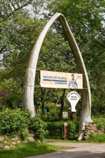 Friesen Museum, blue whale lower jaw, Wyk, Föhr, North Sea island, North Friesland,