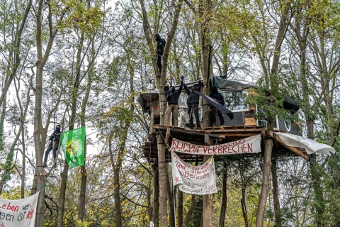 Tree houses with Antifa activists, protest action against the demolition of the village of