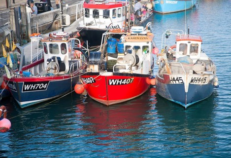 Colourful fishing boats in the harbour at Weymouth, Dorset, England, United Kingdom, Europe