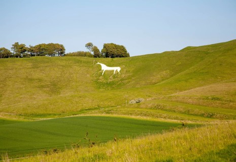 White horse in chalk scarp slope Cherhill, Wiltshire, England, UK dating from 1780