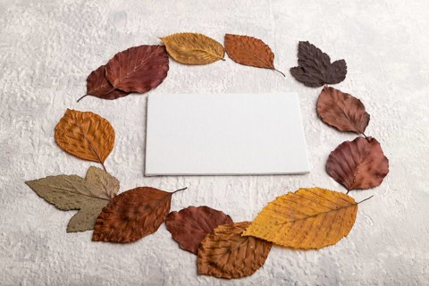 Wreath circle composition with yellow and brown autumn leaves and white business card, round frame