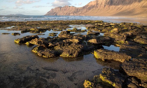 Lanzarote, Canary islands, SpainLate afternoon light on beach and cliffs La Caleta de Famara,