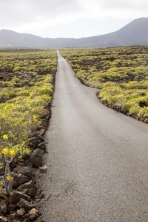 Straight sealed tarmac road crossing lava flows Malpais de Corona, Lanzarote, Canary Islands,