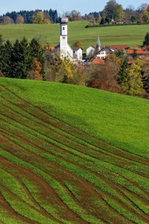 Green meadow with traces of tractor, parish church St. Ägidius, Gmund am Tegernsee, Mangfall
