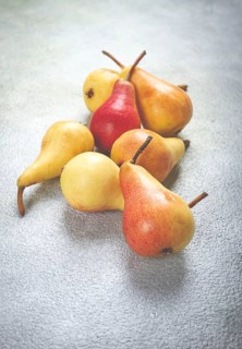 Small pears, Duchess variety, scattered on the table, top view, no people