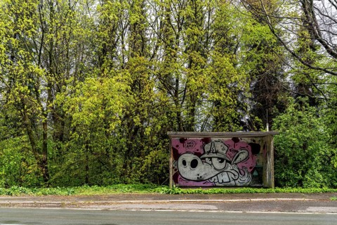 Bus stop shelter, local transport in the countryside, near Breckerfeld-Wengeberg, on Brantender