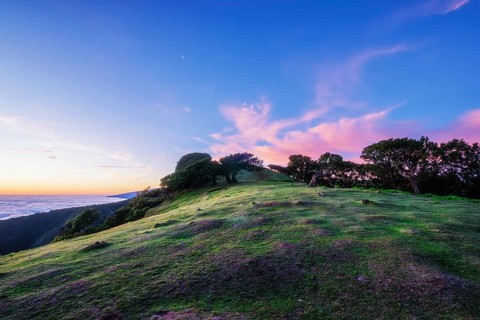 Sunrise above clouds and green hills at Fanal mountain, Madeira island, Portugal, Europe