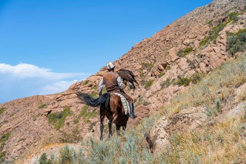 Traditional Kyrgyz eagle hunter with eagle in the mountains, hunting on horseback, near Kysyl-Suu,