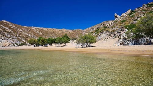 Beach with crystal clear water and golden sand, surrounded by trees and rocks under a clear blue