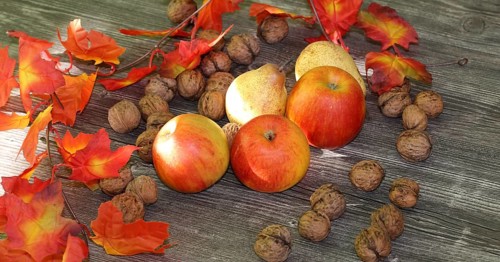 Apples, pears and walnuts on a rustic wooden table as an autumnal motif