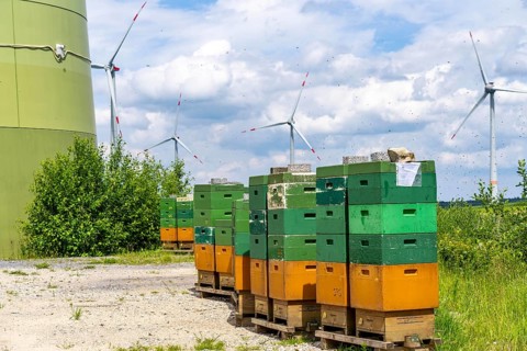 Wind farm north of Marsberg, many beehives at the foot of a wind turbine, Hochsauerlandkreis, North