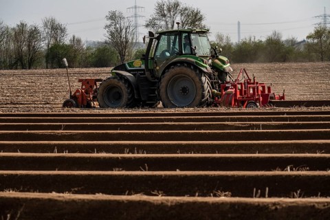 A farmer builds asparagus ridges on a field with the help of an asparagus tiller, in which the