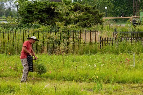 Detroit, Michigan, Volunteers planting in the wetlands at the public garden designed by prominent
