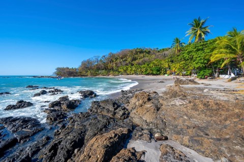 Tropical sandy beach with palm trees, Playa Montezuma, Montezuma, Nicoya Peninsula, Puntarenas