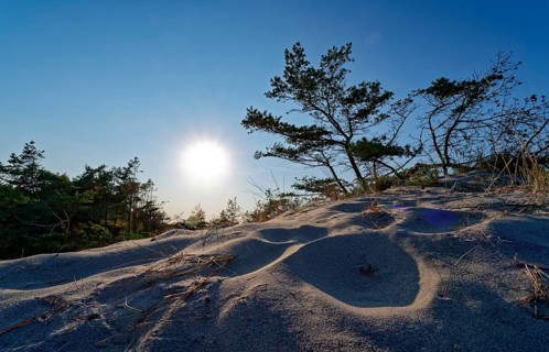 Sun over the dunes in the Slowinski National Park, Slowinski Park Narodowy, on the Baltic coast in