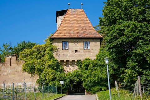 Hohenbeilstein Castle, hilltop castle, Beilstein, Heilbronn district, Baden-Württemberg, Germany,