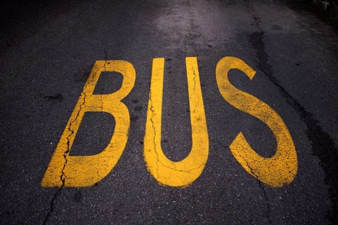 Bus lane, marking on road reserved lane for bus, traffic, Schenna, Scena, South Tyrol, Autonomous