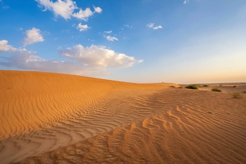 Sand dunes, Wahiba Sands desert, Sharqiya sand, Oman, Asia