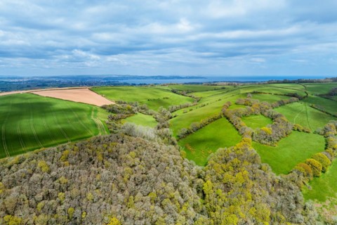 Forest, Farms and Farms over Long Wood and River Dart from a drone, Dartmouth, Kingswear, Devon,