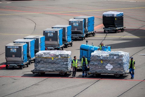 Amsterdam Airport Schiphol, aircraft at terminal, Gates D, check-in, apron, loading of air freight,
