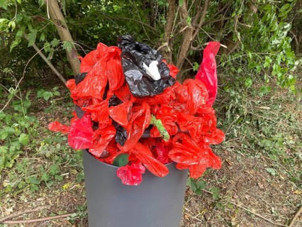 Overflowing rubbish bin, with lots of rubbish, overfilled with dog faeces bags, on a wall path in