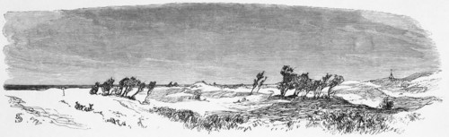 Baltic Sea dune landscape near Palanga, district Nemerzate, Nimerzate or Nimmersatt, Lithuania,