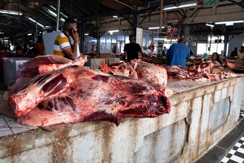 Market, meat hall, Port Louis, Indian Ocean, island, Mauritius, Africa