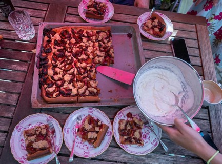 Fresh plum cake from the baking tray. Baden-Württemberg, Germany, Europe