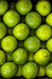 Lime (Citrus x latifolia) Lime citrus fruit without packaging loose piece in display of fruit trade